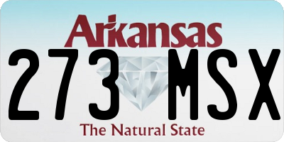 AR license plate 273MSX