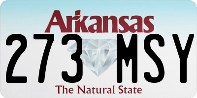 AR license plate 273MSY