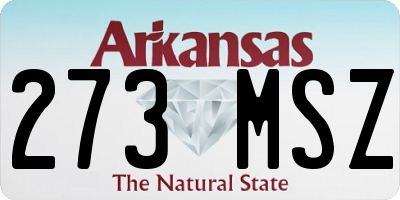 AR license plate 273MSZ
