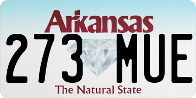 AR license plate 273MUE
