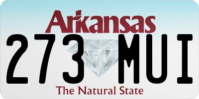 AR license plate 273MUI