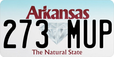 AR license plate 273MUP