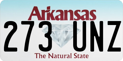 AR license plate 273UNZ