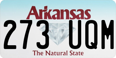 AR license plate 273UQM