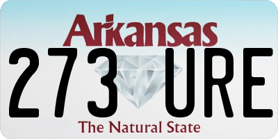 AR license plate 273URE