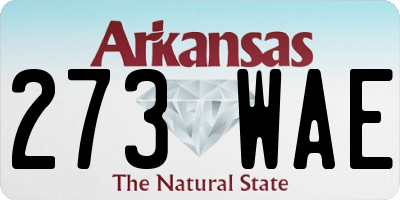 AR license plate 273WAE