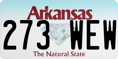 AR license plate 273WEW