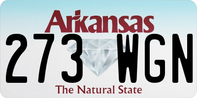 AR license plate 273WGN