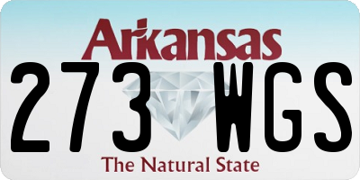 AR license plate 273WGS