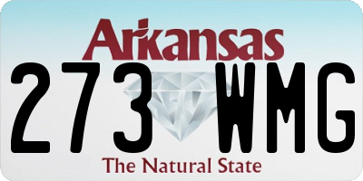 AR license plate 273WMG