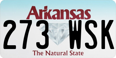 AR license plate 273WSK