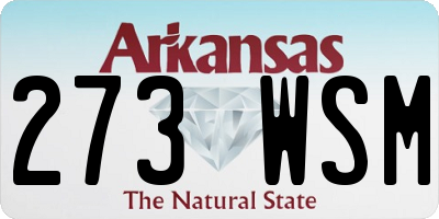AR license plate 273WSM