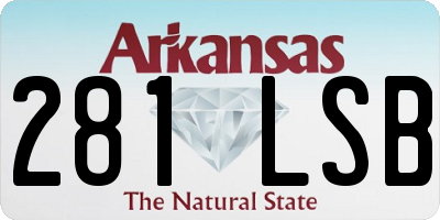 AR license plate 281LSB