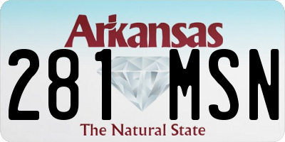AR license plate 281MSN