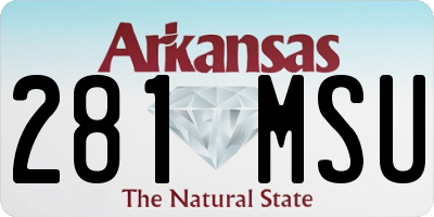 AR license plate 281MSU