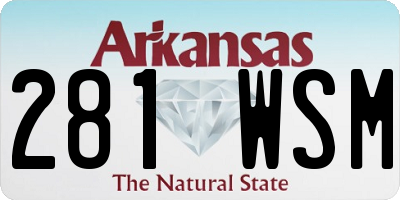 AR license plate 281WSM