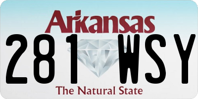 AR license plate 281WSY