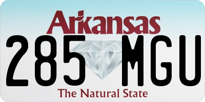 AR license plate 285MGU