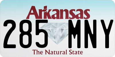 AR license plate 285MNY