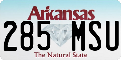 AR license plate 285MSU