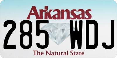 AR license plate 285WDJ