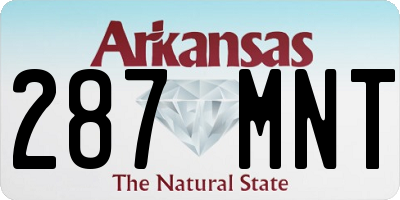 AR license plate 287MNT