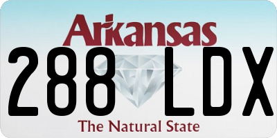 AR license plate 288LDX