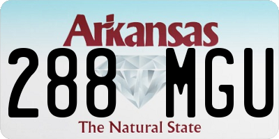 AR license plate 288MGU