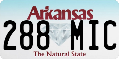 AR license plate 288MIC