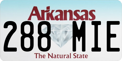 AR license plate 288MIE