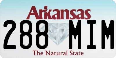 AR license plate 288MIM