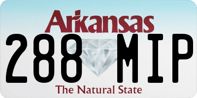 AR license plate 288MIP