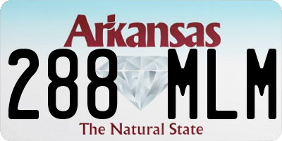 AR license plate 288MLM