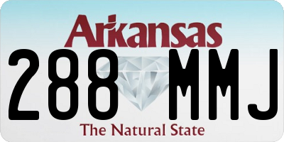 AR license plate 288MMJ