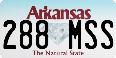 AR license plate 288MSS