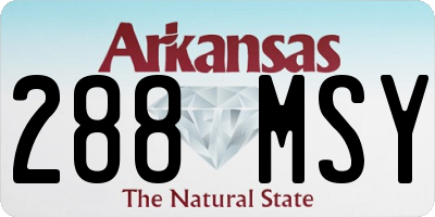 AR license plate 288MSY