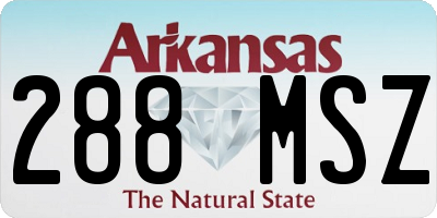 AR license plate 288MSZ