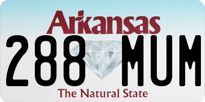AR license plate 288MUM
