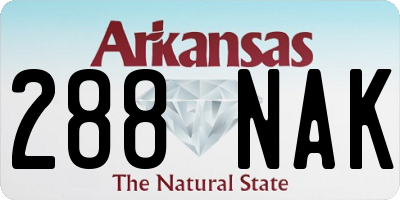 AR license plate 288NAK