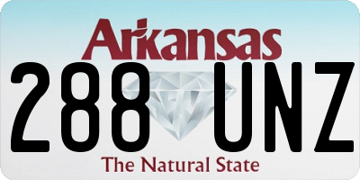 AR license plate 288UNZ