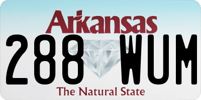 AR license plate 288WUM