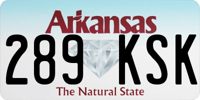 AR license plate 289KSK