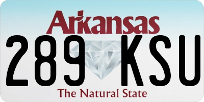 AR license plate 289KSU