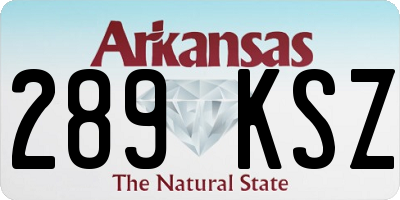 AR license plate 289KSZ