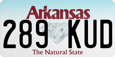 AR license plate 289KUD