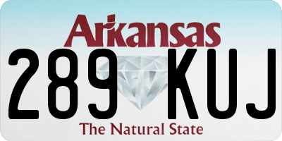 AR license plate 289KUJ