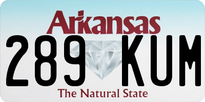 AR license plate 289KUM