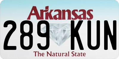 AR license plate 289KUN