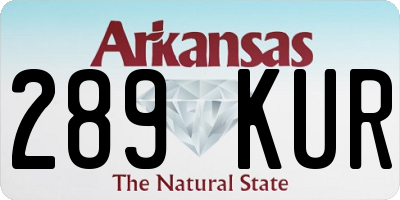 AR license plate 289KUR