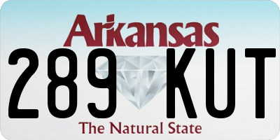 AR license plate 289KUT